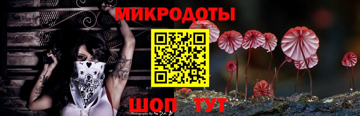 Галлюциногенные грибы прущие грибы Обнинск